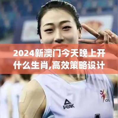 2024新澳门今天晚上开什么生肖,高效策略设计_iPad1.356