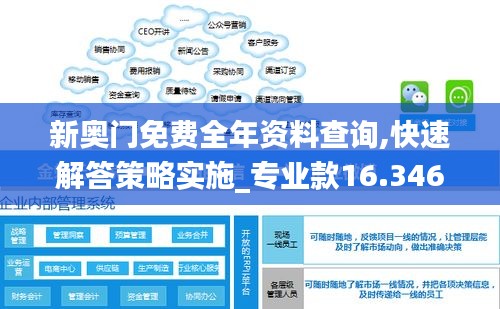 新奥门免费全年资料查询,快速解答策略实施_专业款16.346