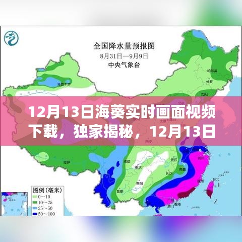 独家揭秘，亲历大自然的魅力——海葵实时画面视频下载记录（12月13日）