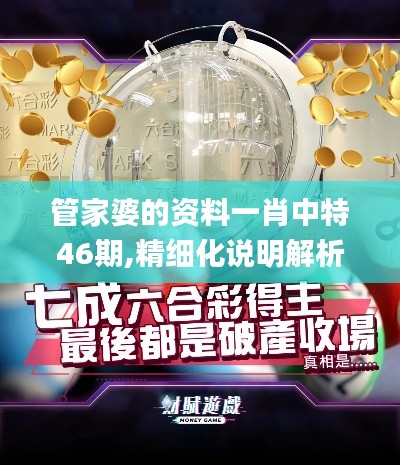 管家婆的资料一肖中特46期,精细化说明解析_特别款1.911