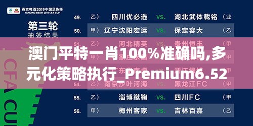 澳门平特一肖100%准确吗,多元化策略执行_Premium6.526