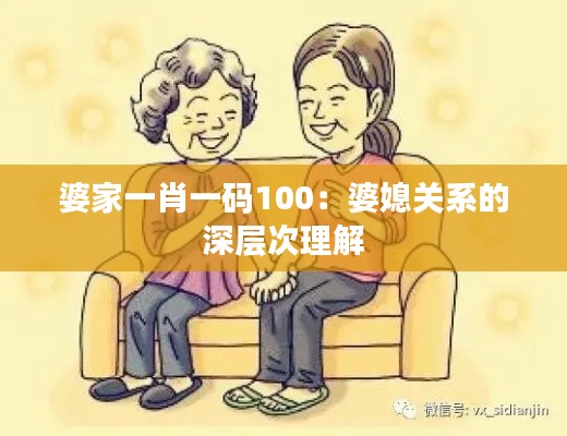 婆家一肖一码100：婆媳关系的深层次理解