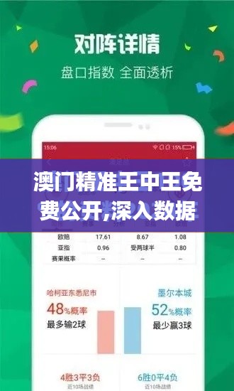 澳门精准王中王免费公开,深入数据应用解析_QHD3.848