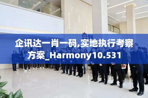 企讯达一肖一码,实地执行考察方案_Harmony10.531