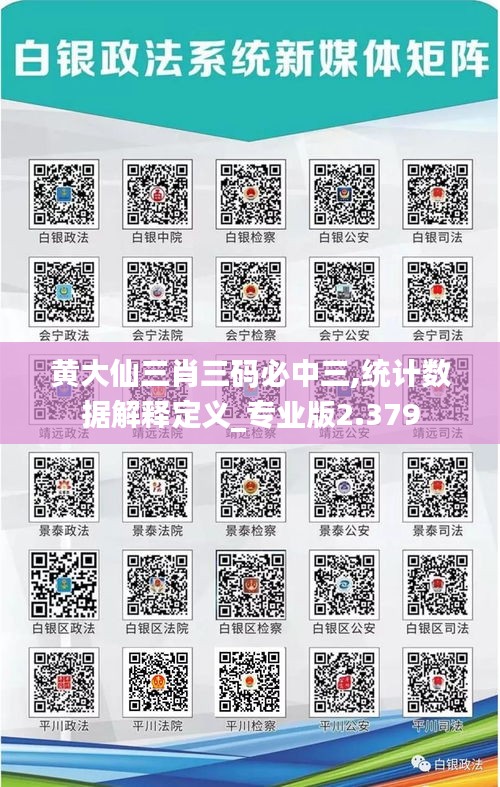 黄大仙三肖三码必中三,统计数据解释定义_专业版2.379