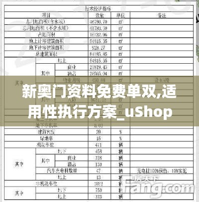新奥门资料免费单双,适用性执行方案_uShop4.228