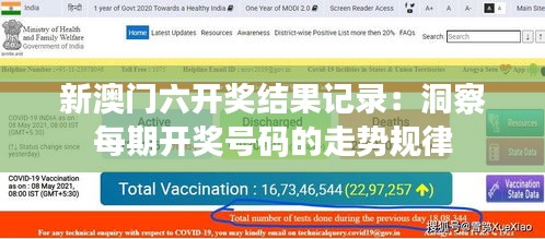 新澳门六开奖结果记录：洞察每期开奖号码的走势规律