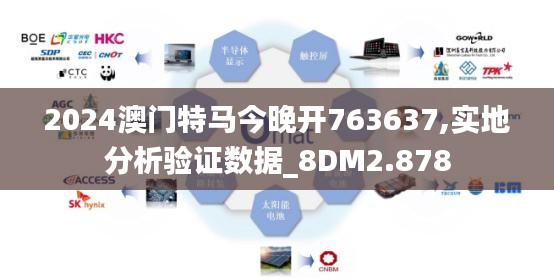 2024澳门特马今晚开763637,实地分析验证数据_8DM2.878