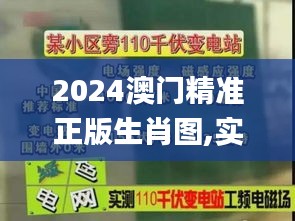 2024澳门精准正版生肖图,实地验证分析数据_钱包版10.530