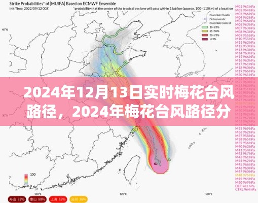 梅花台风路径分析，预测、影响与深入探究
