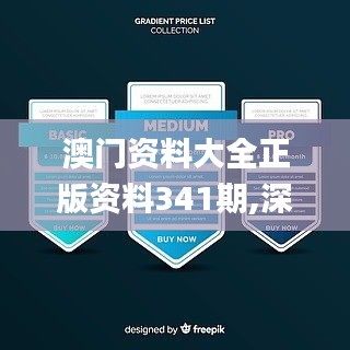 澳门资料大全正版资料341期,深层策略设计解析_GM版2.131