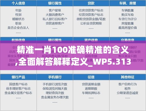 精准一肖100准确精准的含义,全面解答解释定义_WP5.313