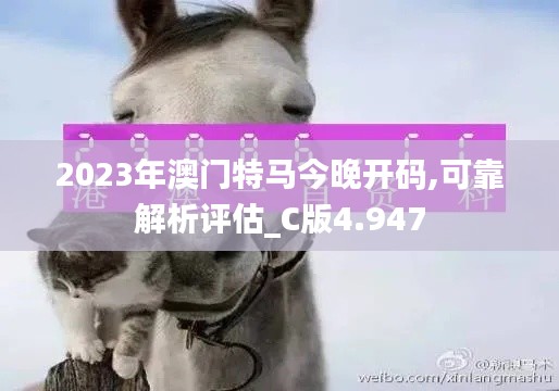 2023年澳门特马今晚开码,可靠解析评估_C版4.947