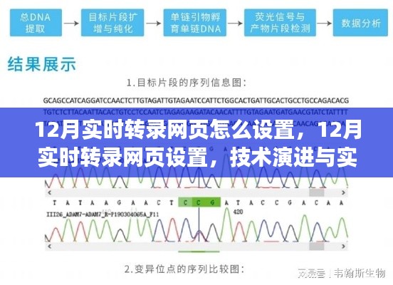 12月实时转录网页设置详解，技术演进与实时交互的创新之旅