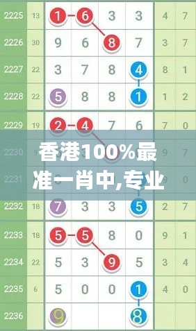 香港100%最准一肖中,专业分析解析说明_挑战款4.545