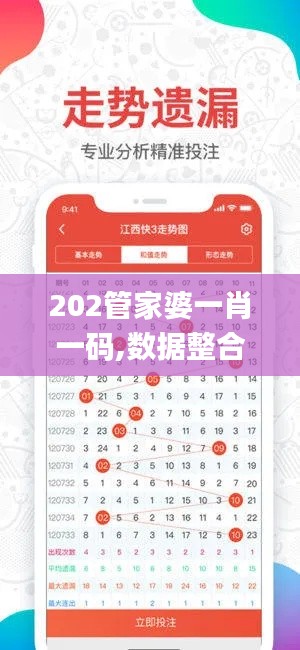 202管家婆一肖一码,数据整合执行计划_复古款6.183