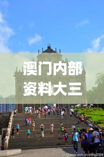 澳门内部资料大三巴网站诠释析落,深入解答解释定义_S14.643