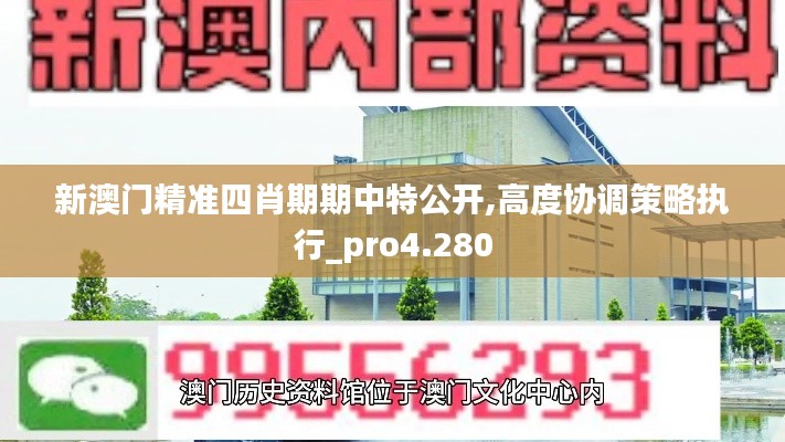 新澳门精准四肖期期中特公开,高度协调策略执行_pro4.280
