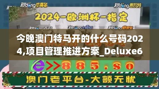 今晚澳门特马开的什么号码2024,项目管理推进方案_Deluxe6.203