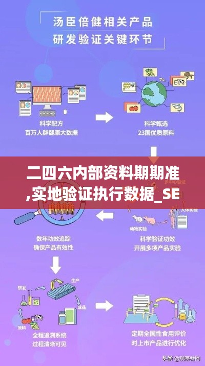 二四六内部资料期期准,实地验证执行数据_SE版9.406