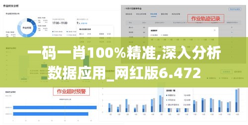 一码一肖100%精准,深入分析数据应用_网红版6.472