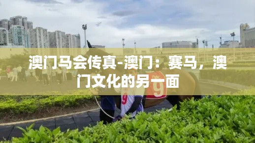 澳门马会传真-澳门：赛马，澳门文化的另一面