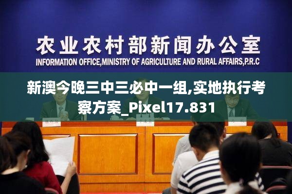 新澳今晚三中三必中一组,实地执行考察方案_Pixel17.831