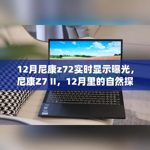 尼康Z7 II，曝光下的宁静之旅，探索自然之美于十二月光影之中