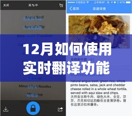 12月实时翻译功能的应用洞察与如何使用