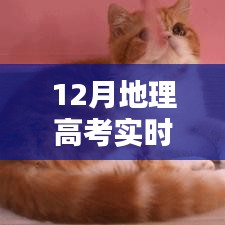 12月地理高考实时动态图题产品评测与详解