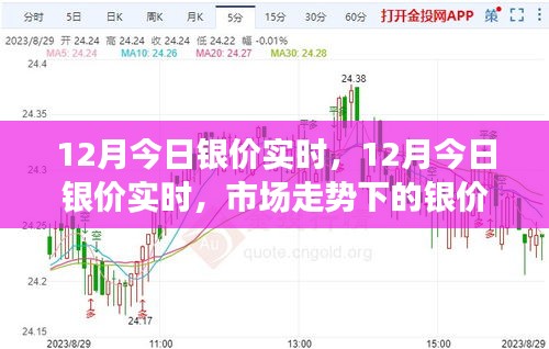12月银价实时走势分析，市场动态与影响探讨