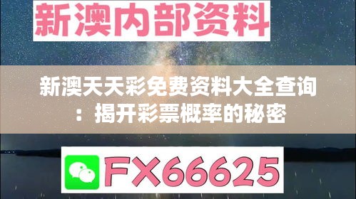 新澳天天彩免费资料大全查询：揭开彩票概率的秘密
