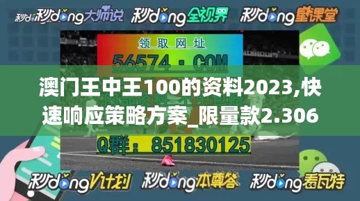澳门王中王100的资料2023,快速响应策略方案_限量款2.306