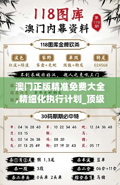 澳门正版精准免费大全,精细化执行计划_顶级版4.313