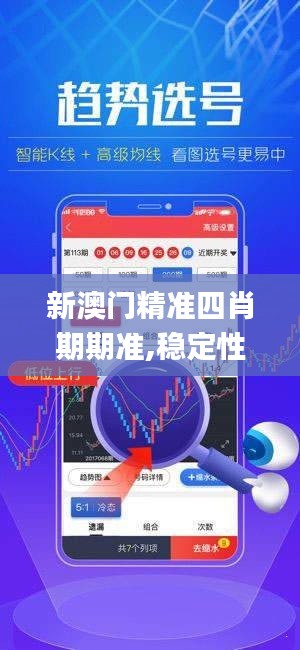新澳门精准四肖期期准,稳定性执行计划_Elite7.630