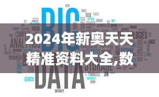 2024年新奥天天精准资料大全,数据驱动执行方案_挑战款16.594