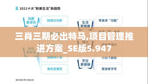 三肖三期必出特马,项目管理推进方案_SE版5.947