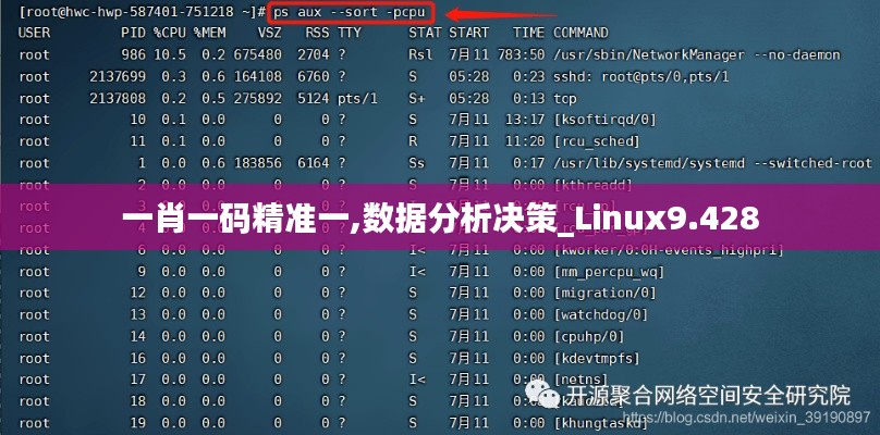 一肖一码精准一,数据分析决策_Linux9.428