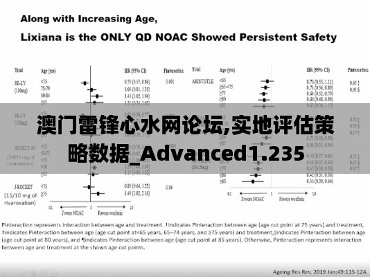 澳门雷锋心水网论坛,实地评估策略数据_Advanced1.235