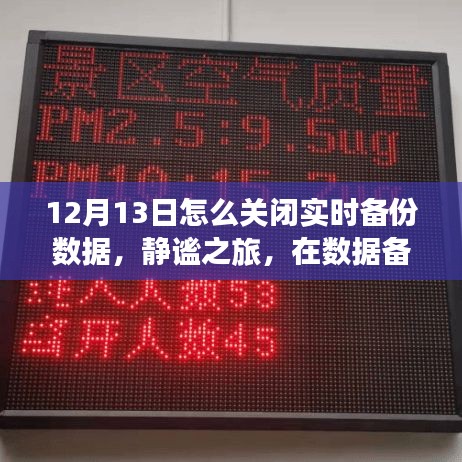 静谧之旅，关闭实时备份数据，探索自然美景的静默时刻