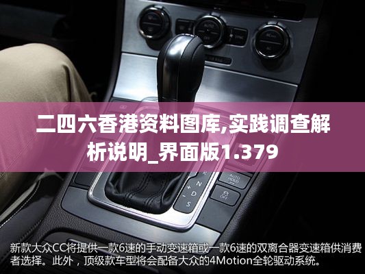 二四六香港资料图库,实践调查解析说明_界面版1.379