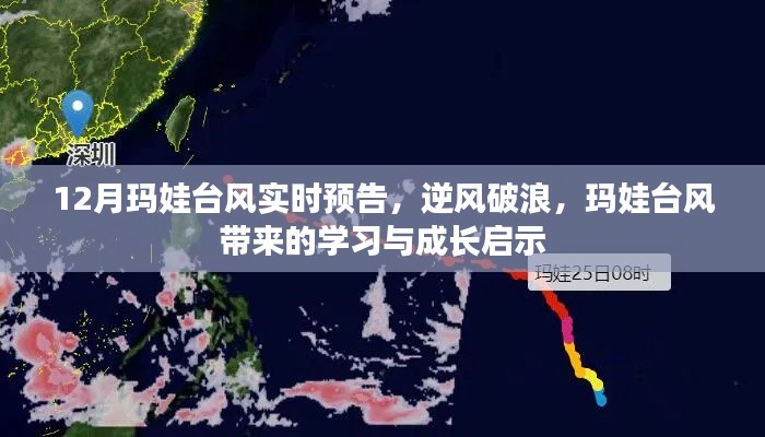 玛娃台风带来的启示，逆风破浪中的学习与成长之路