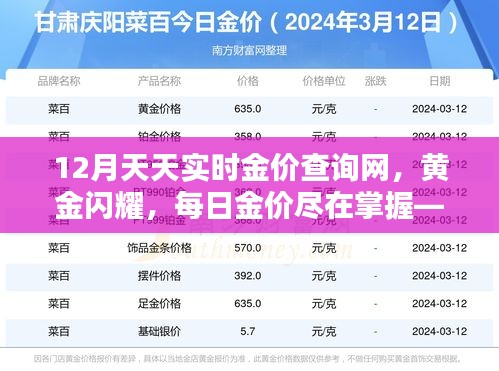 掌握每日金价动态，12月天天实时金价查询网全面解析