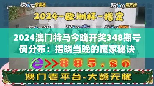 2024澳门特马今晚开奖348期号码分布：揭晓当晚的赢家秘诀