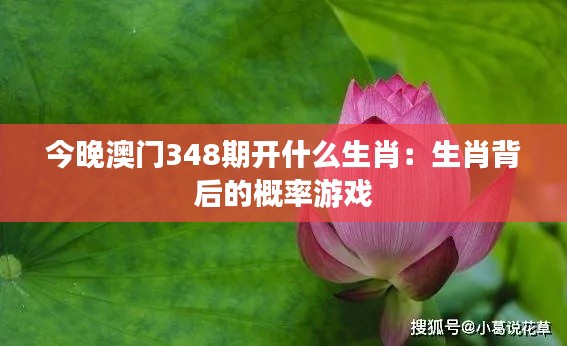 今晚澳门348期开什么生肖：生肖背后的概率游戏