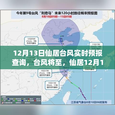 仙居台风来袭，12月13日实时预报及影响分析