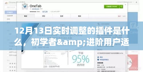 揭秘，初学者与进阶用户适用的实时调整插件安装与配置指南（针对12月13日更新）