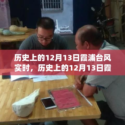 深度解读与实时回顾，历史上的霞浦台风事件回顾与实时动态分析（12月13日）