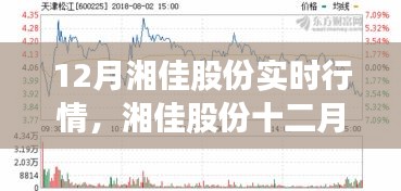 湘佳股份十二月实时行情深度解读与走势剖析