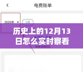 历史上的12月13日电费余额实时查看指南，明细一目了然！